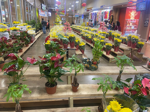 Asian Grocery Store «Hong Kong Market», reviews and photos, 2615 W Pioneer Pkwy, Grand Prairie, TX 75051, USA