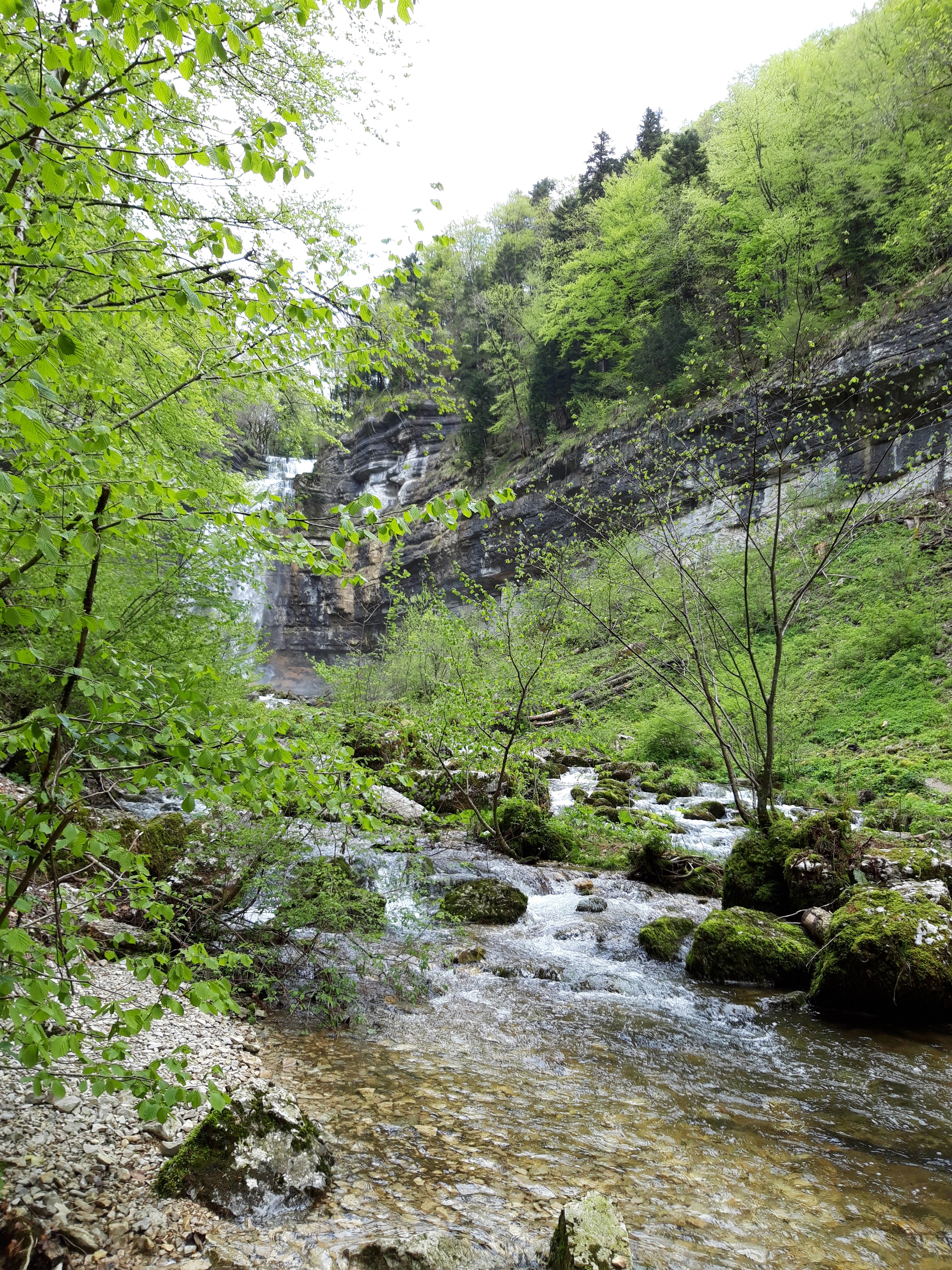 Photo n° 5 de l'avis de pascale.i fait le 12/05/2019 à 15:39