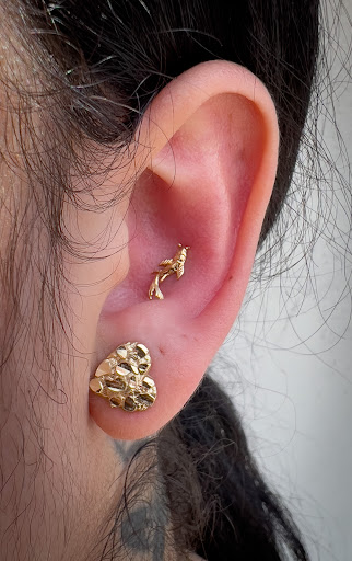 Explore peterbilt tattoo ideas, creative tattoo ideas in Terre Haute, available at Piercings by Brett Rice - godpiercethequeen