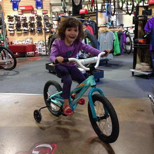 Bicycle Store «Global Bikes - Chandler North», reviews and photos, 2915 W Ray Rd, Chandler, AZ 85224, USA