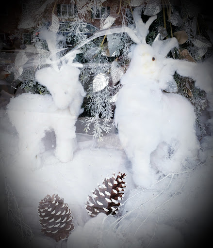 Florist «Masters & Company Florist», reviews and photos, 26 S Village Ave, Rockville Centre, NY 11570, USA