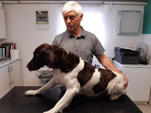 Dr. Klaus Grajcarek Tierarzt unter Bautzen, 