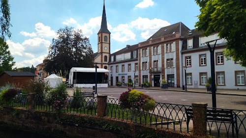 Agence immobilière Alsace Loisirs Niederbronn-les-Bains