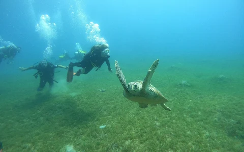 Nemo Dive Center image