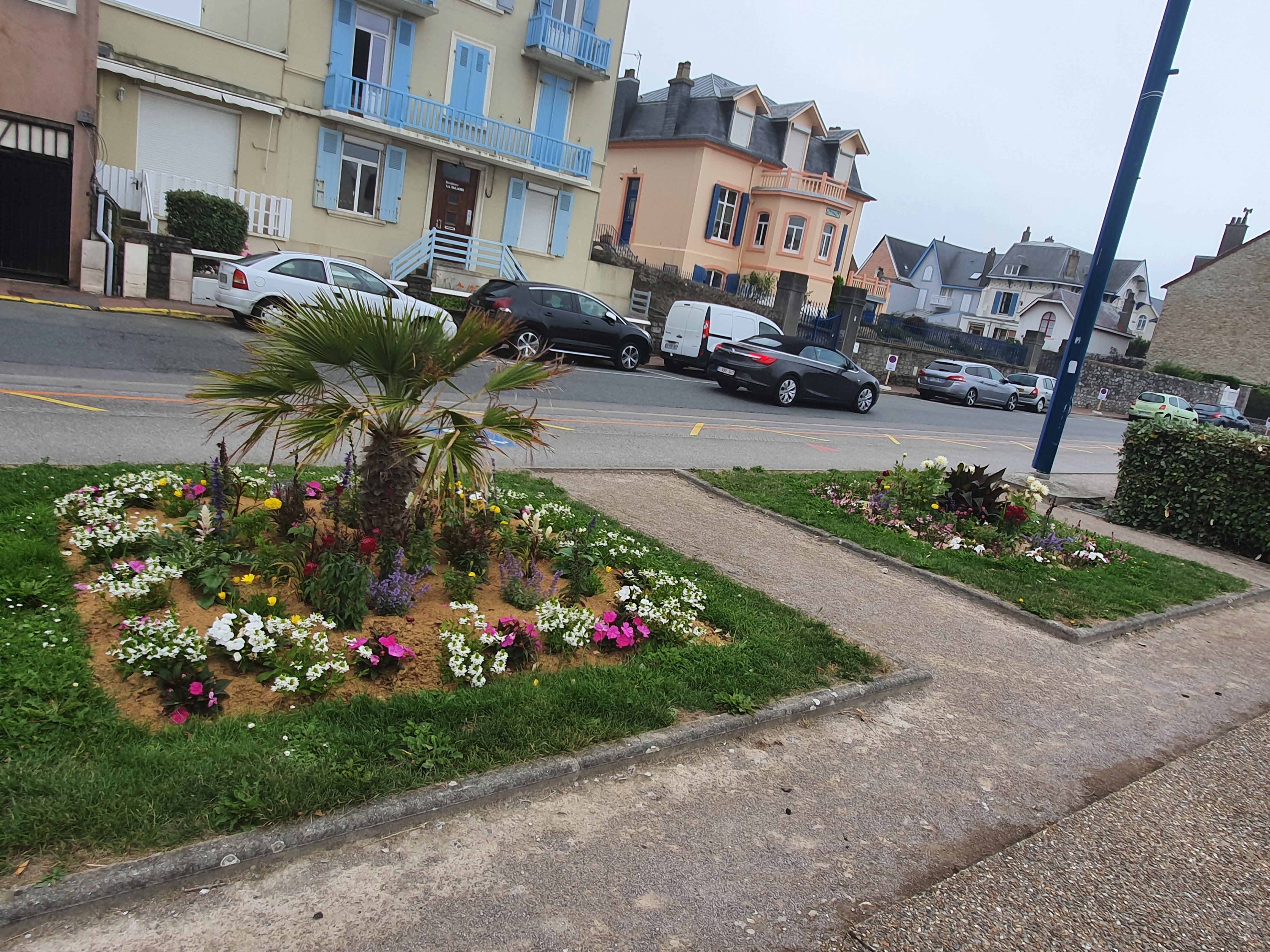 Photo n° 1 de l'avis de sabine.e fait le 04/07/2020 à 13:47