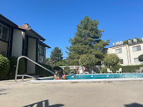 Cash Owl Bookkeeping - Photo 5 - Car repair in Taylorsville, UT, West Valley City