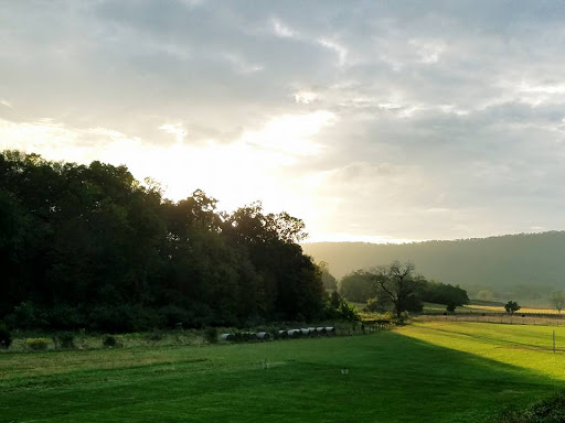 Winery «Knob Hall Winery», reviews and photos, 14108 St Paul Rd, Clear Spring, MD 21722, USA