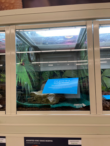 Pet Supply Store «PetSmart», reviews and photos, 290 S Broadway, Salem, NH 03079, USA