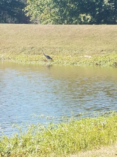 Park «Buffalo Trace Park», reviews and photos, 1540 US-150, Palmyra, IN 47164, USA