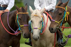 Rainbow Beach Horse Rides image