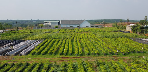 Top 20 cửa hàng nông nghiệp Huyện Phú Riềng Bình Phước 2022