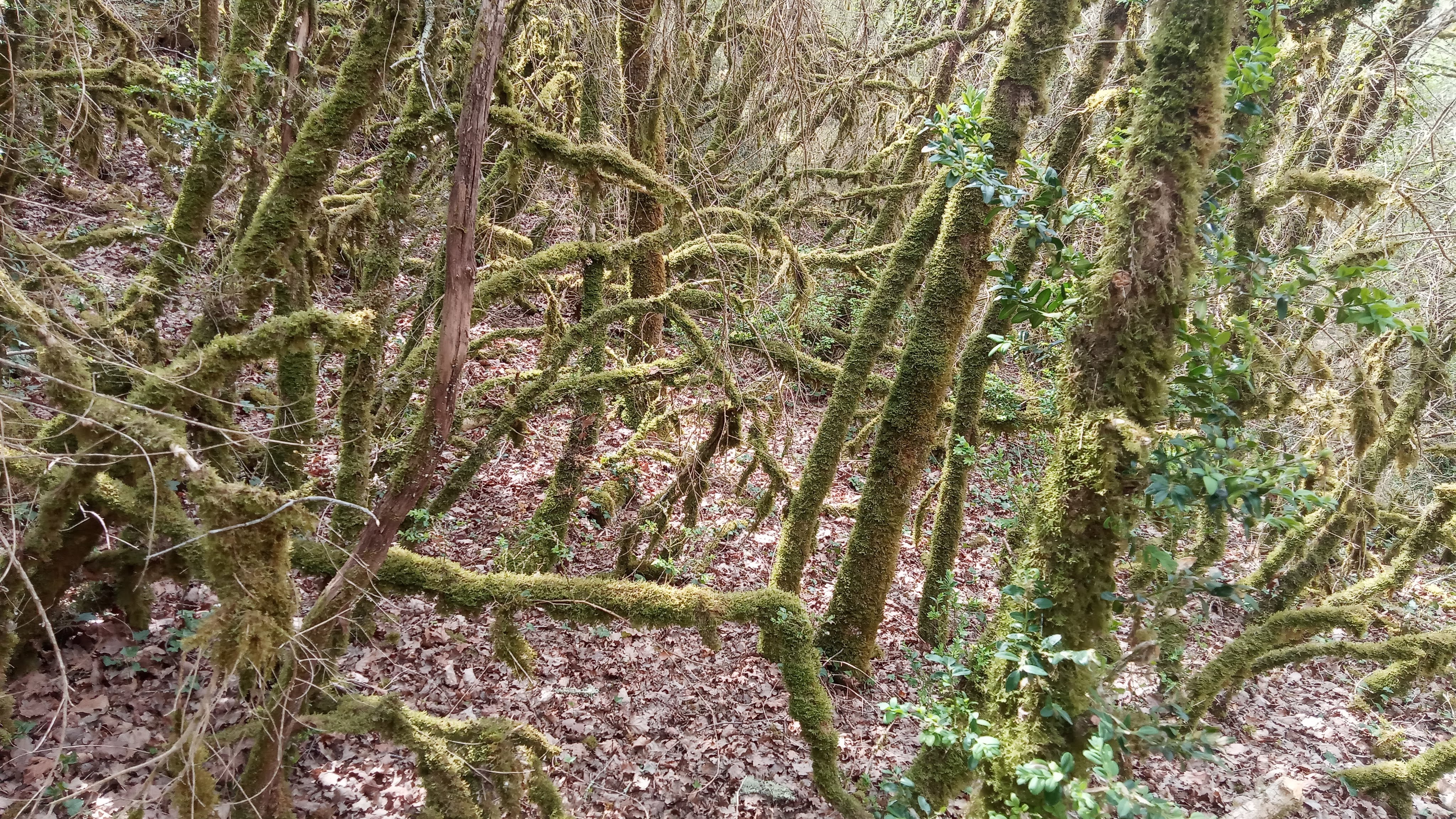 Photo n° 3 de l'avis de Didier.i fait le 18/04/2022 à 12:11