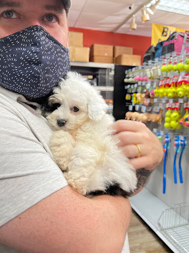 Pet Supply Store «Petland Dallas», reviews and photos, 11909 Preston Rd, Dallas, TX 75230, USA