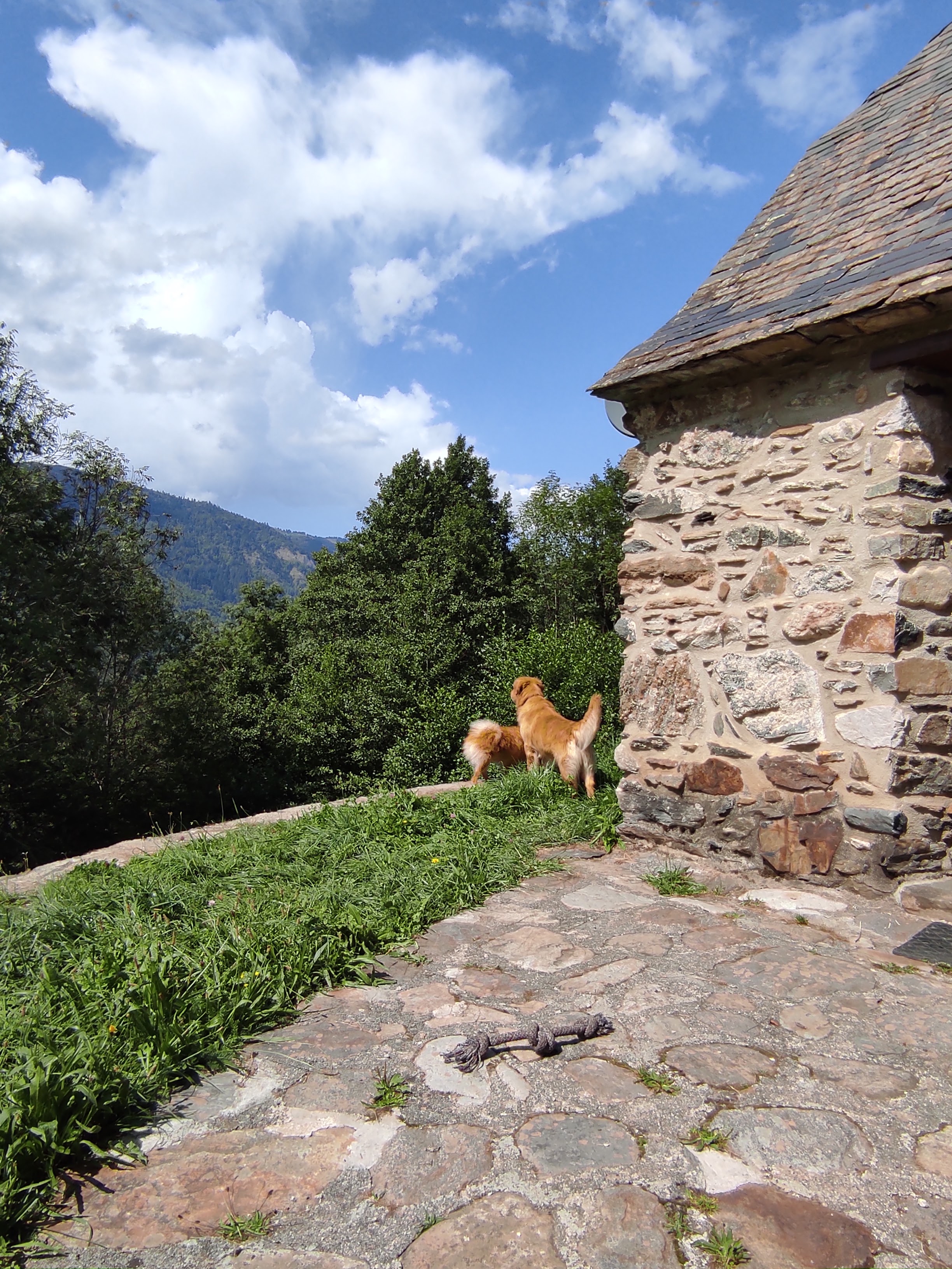 Photo n° 1 de l'avis de Aymeric.e fait le 27/08/2021 à 17:36