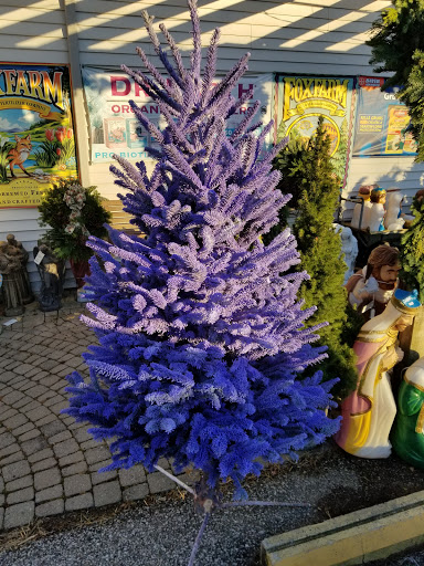 Garden Center «Royal Victorian Garden Center», reviews and photos, 10911 State Rd, Cleveland, OH 44133, USA