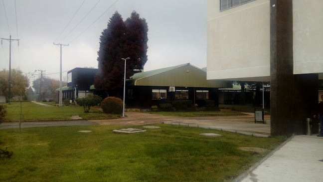 Universidad Católica de Temuco - Edificio Institucional - Universidad