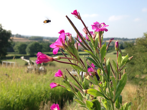 Spratton Organic Farm