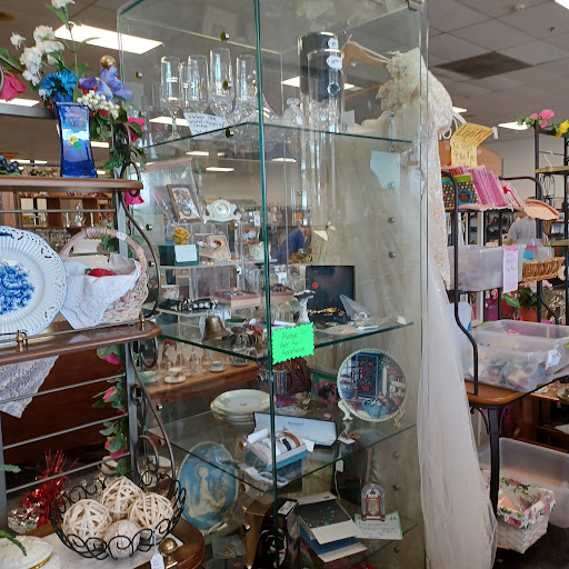 Thrift Store «Orphans Rock Thrift Shop», reviews and photos, 4001 N Highway 19A, Mt Dora, FL 32757, USA