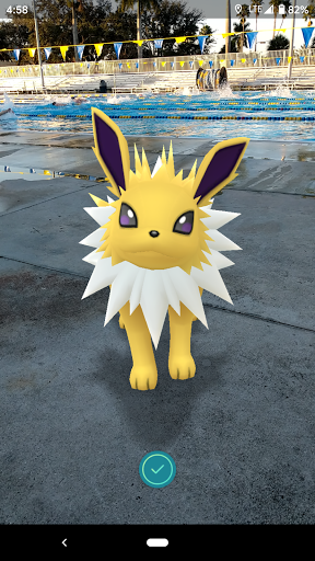 Public Swimming Pool «Coral Springs Aquatic Complex», reviews and photos, 12441 Royal Palm Blvd, Coral Springs, FL 33065, USA