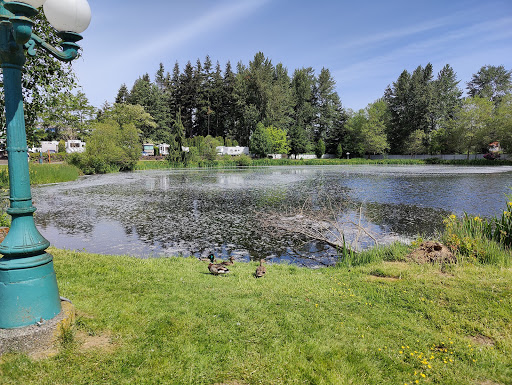 Home Improvement Store «The Home Depot», reviews and photos, 11915 WA-99, Everett, WA 98204, USA