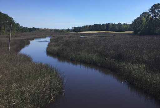 Golf Course «Shell Landing Golf Club», reviews and photos, 3499 Shell Landing Blvd, Gautier, MS 39553, USA