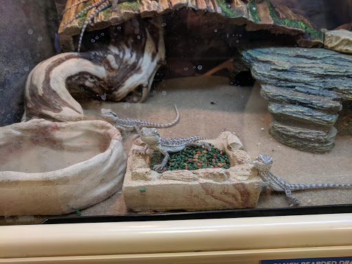 Pet Supply Store «PetSmart», reviews and photos, 5001 Sergeant Rd, Sioux City, IA 51106, USA