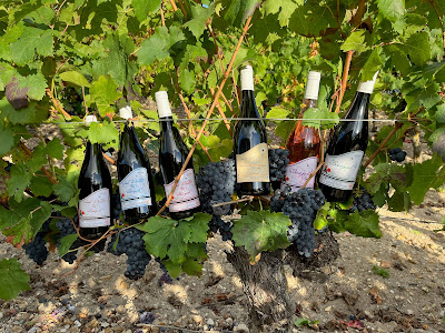 Domaine Christian Pantaleon à Saint-Nicolas-de-Bourgueil
