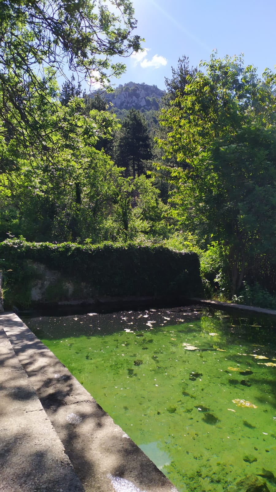 Photo n° 5 de l'avis de thierry.A fait le 24/06/2021 à 15:47