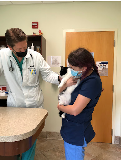 Needham Animal Hospital image