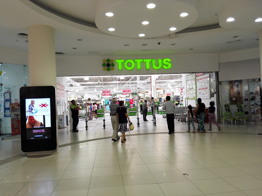 Tottus