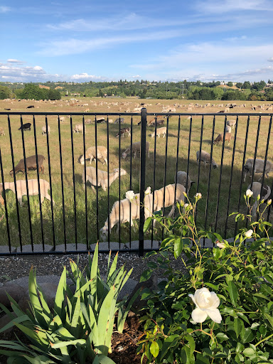 Linmoore Fencing & Iron Works, Inc. image
