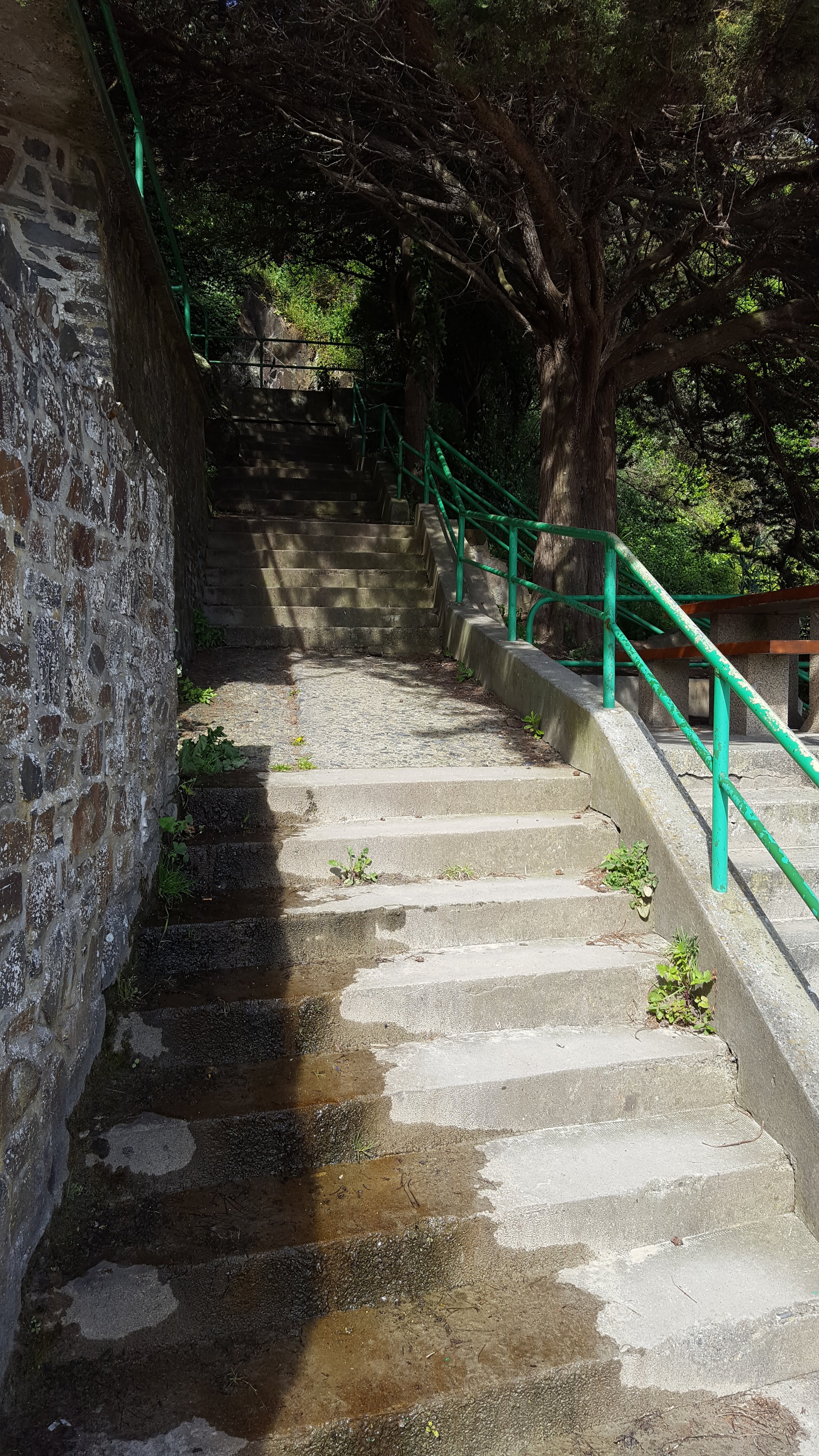 Photo n° 3 de l'avis de Dominique.r fait le 16/05/2019 à 10:48