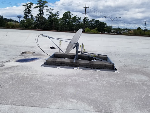 Dollar Store «Dollar Tree», reviews and photos, 3301 US-190, Mandeville, LA 70471, USA