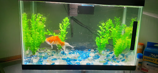 Pet Supply Store «Pet Supplies Plus», reviews and photos, 311 Sagamore Pkwy N, Lafayette, IN 47904, USA