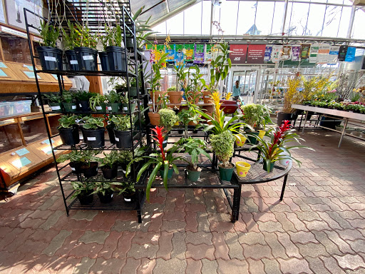 Hardware Store «La Grange Pk Ace Hardware Inc», reviews and photos, 900 E 31st St, La Grange Park, IL 60526, USA