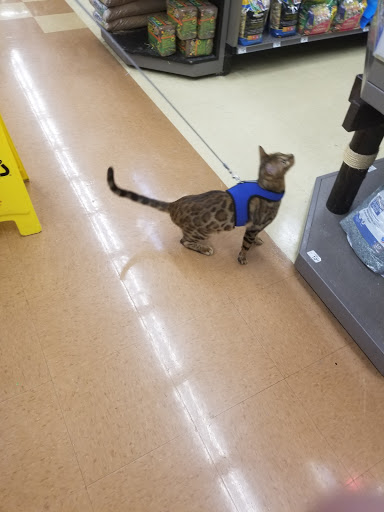 Pet Supply Store «Petco Animal Supplies», reviews and photos, 2435 N Hwy 67, Florissant, MO 63033, USA