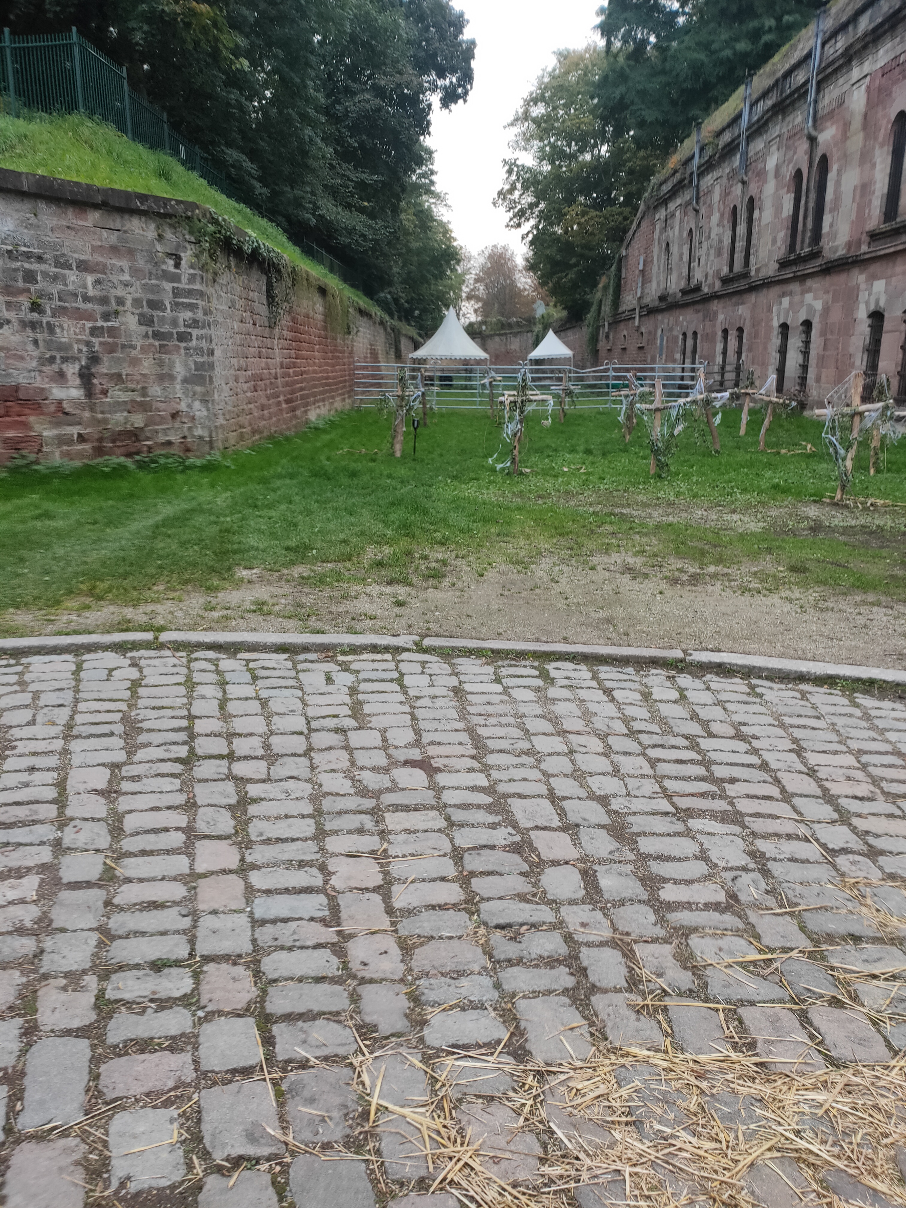 Photo n° 4 de l'avis de Dom.a fait le 16/10/2021 à 22:16