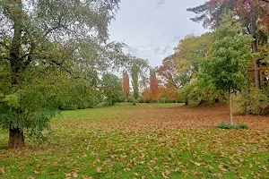 Hundepark Aquazoo image