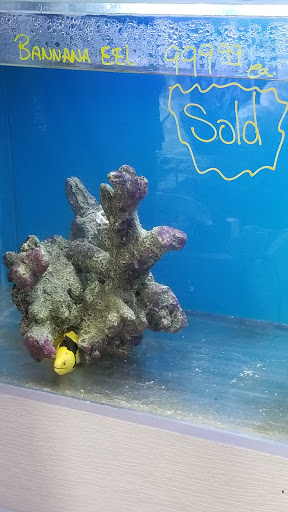 Pet Store «Pet World», reviews and photos, 891 Harriman Pl, San Bernardino, CA 92408, USA