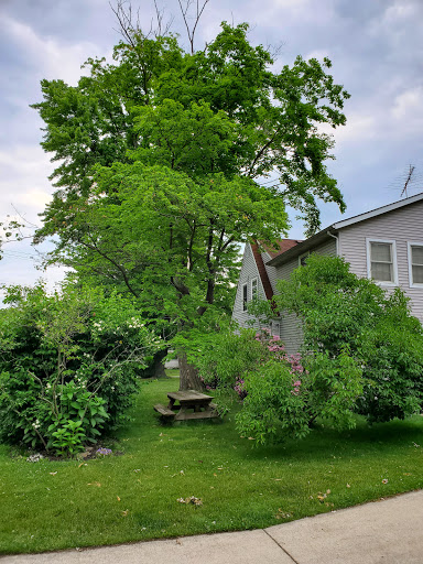 Sharp Edge Tree & Landscaping image 3