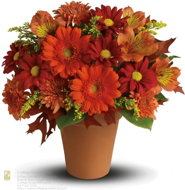 Florist «Cottage Grove Florist», reviews and photos, 8599 W Point Douglas Rd S #100, Cottage Grove, MN 55016, USA