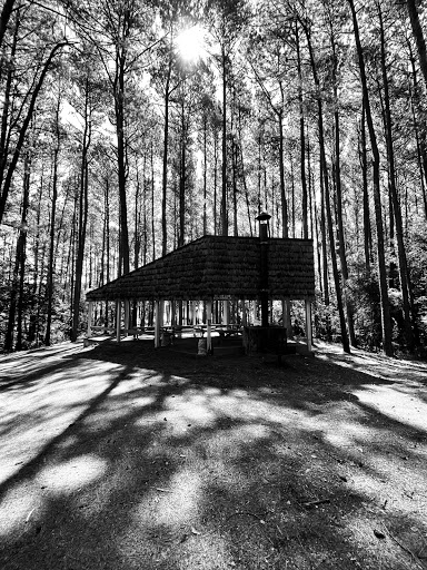 State Park «Natchez Trace State Park», reviews and photos, 24845 Natchez Trace Rd, Wildersville, TN 38388, USA