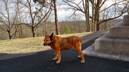 National Park «Kings Mountain National Military Park», reviews and photos, 2625 Park Rd, Blacksburg, SC 29702, USA