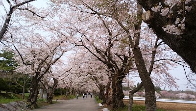 野崎公園