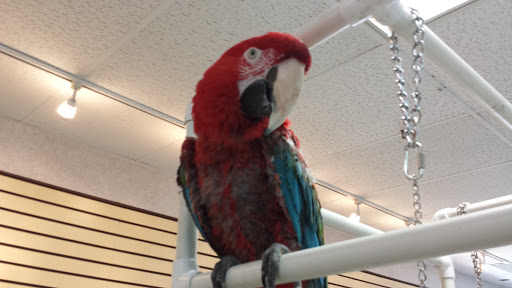 Car Wash «Paradise Full Service Car Wash & Detail Center», reviews and photos, 1355 Town Centre Dr, Eagan, MN 55123, USA