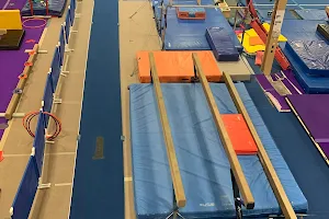 TIGAR Gymnastics image