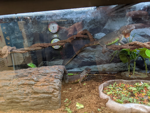 Pet Supply Store «Petco Animal Supplies», reviews and photos, 1945 W Palmetto St #250, Florence, SC 29501, USA