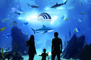 Hurghada Grand Aquarium image