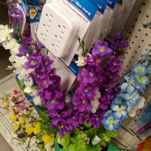 Dollar Store «Dollar Tree», reviews and photos, 1952 State Rd 44, New Smyrna Beach, FL 32168, USA