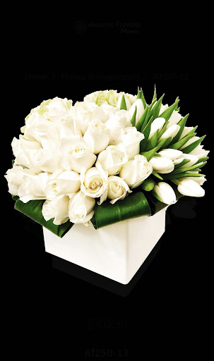 Florist «Amazing Flowers Miami», reviews and photos, 252 Sunny Isles Blvd #2b, Sunny Isles Beach, FL 33160, USA